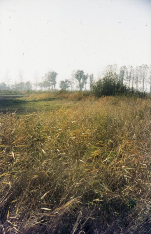 Foto 1039796667